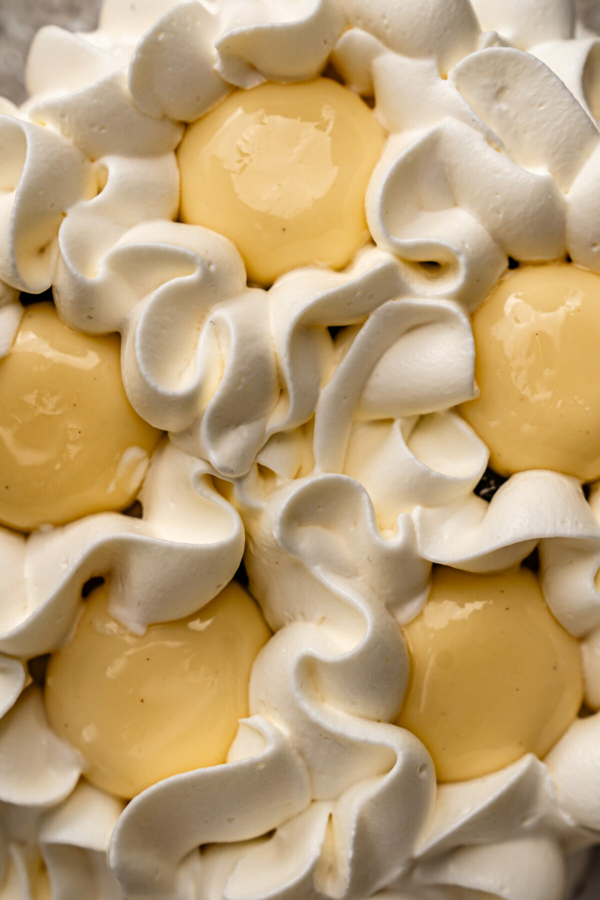 Pavlova citrons & baies de Timur – Image 2