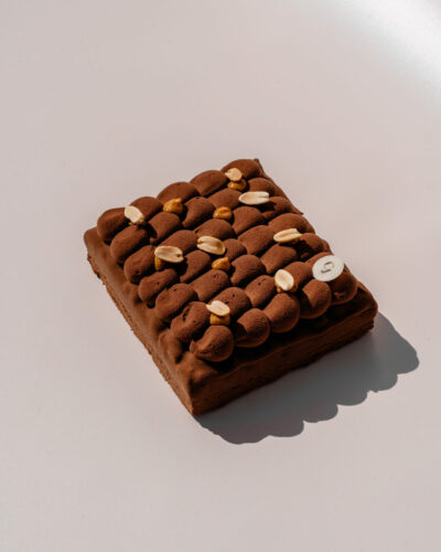 CAMILLEMARIE_VAVOIRHIGHIER_ClaraJung_Mars2026-65