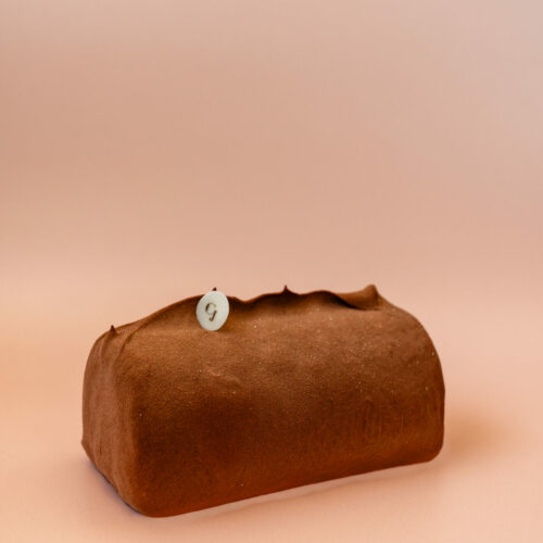 Camille_Marie_vavoirhigher_CJNoel25-27