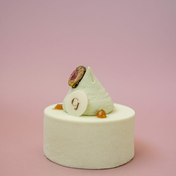 Camille_Marie_vavoirhigher_CJNoel25-94